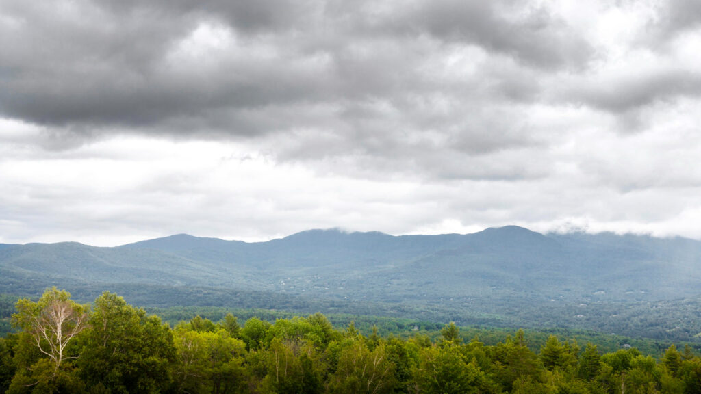 weather forcast